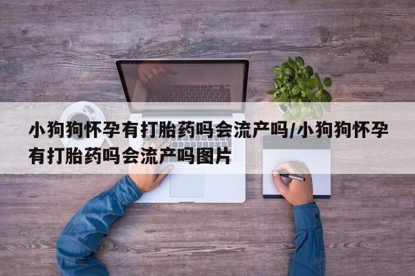 吃什么东西容易导致流产小狗狗怀孕有打胎药吗会流产吗/小狗狗怀孕有打胎药吗会流产吗图片
