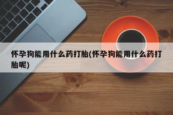 吃什么东西容易导致流产怀孕狗能用什么药打胎(怀孕狗能用什么药打胎呢)