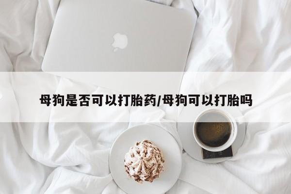 吃什么东西容易导致流产母狗是否可以打胎药/母狗可以打胎吗